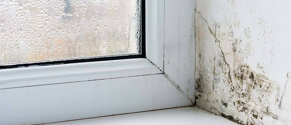 Kruipruimte Ventilatie Specialist helpt u op de luchtvochtigheid in uw huis naar het juist niveau te trekken. Zodoende verhelpen we klachten als vochtplekken, schimmels en nare geuren.
