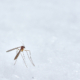 Een mug op een witte achtergrond
