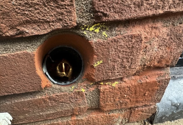 Wij verdrijven vocht op een natuurlijke manier