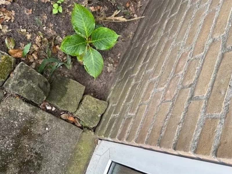 Kruipruimte ventilatie vochtproblemen en koude vloer in Oss